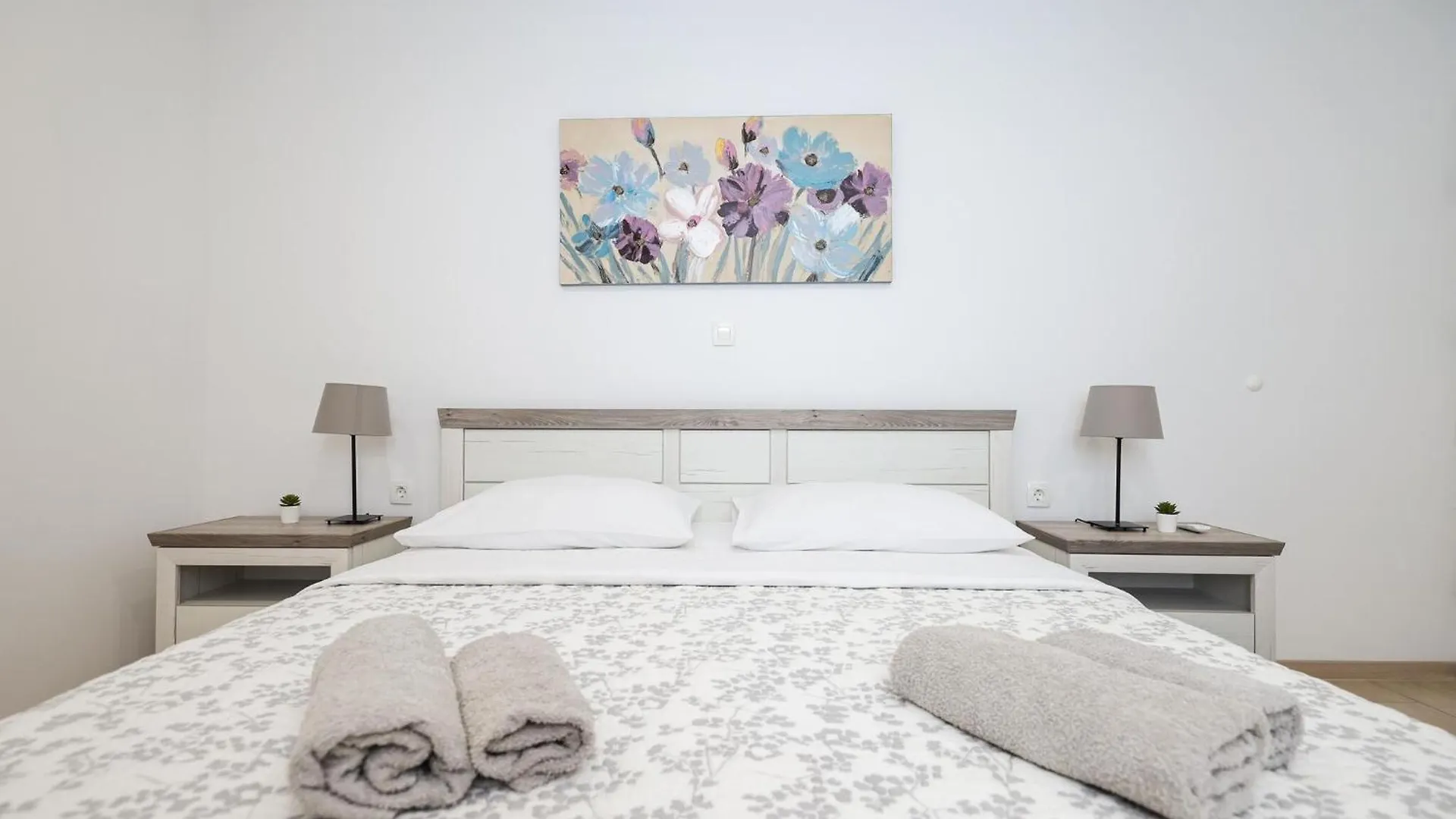 Lovely Holiday Home With Private Swimming Pool Maslenica