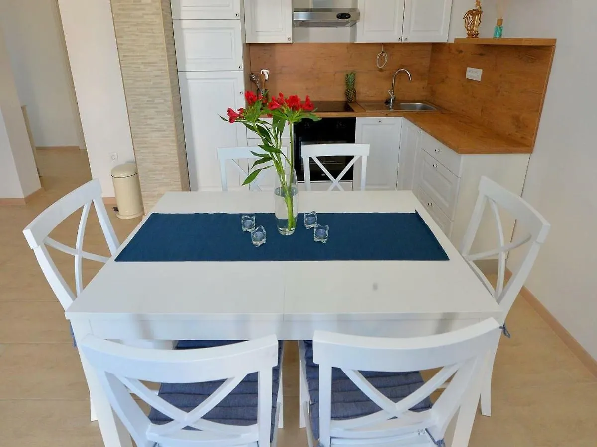 Lovely Holiday Home With Private Swimming Pool Maslenica
